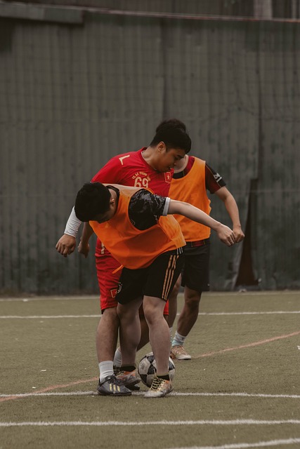 鹈鹕可能在