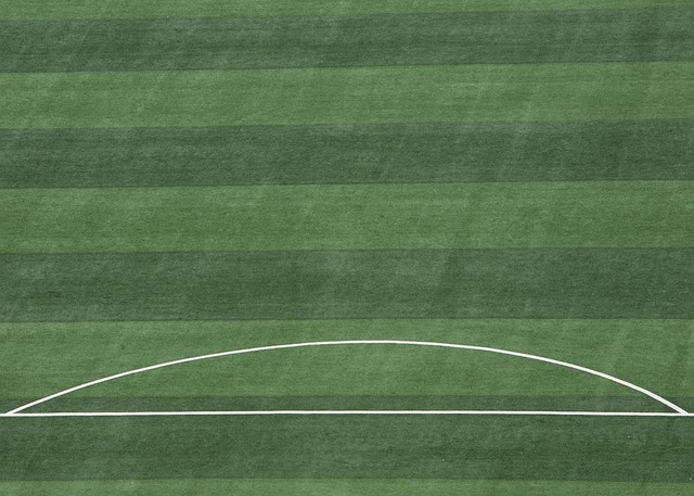 和球迷雙方 和球迷雙方