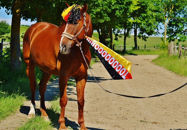 出了稳定的 出了稳定的