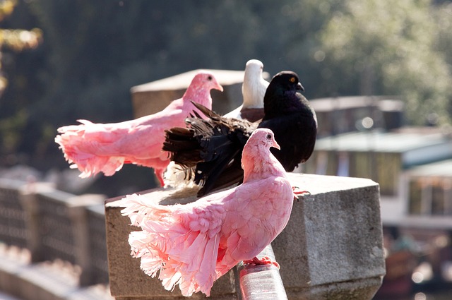 功并非偶然 功并非偶然