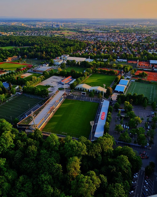 度和整体战 度和整体战