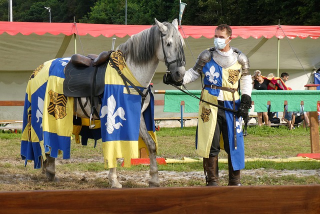 几次绝妙的 几次绝妙的