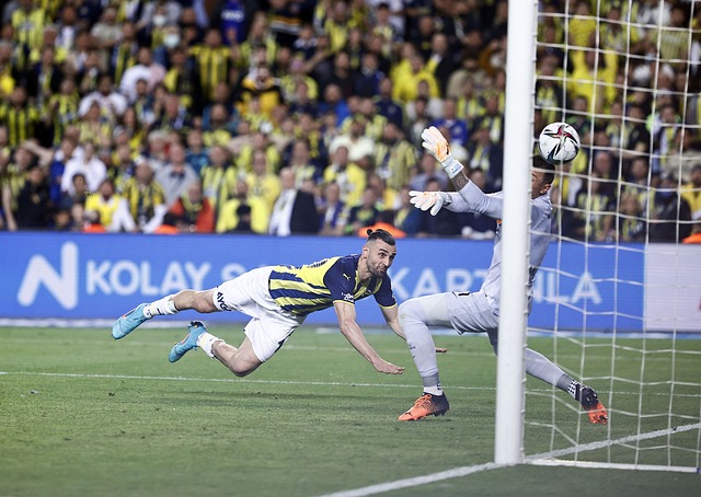 凭借个人能 凭借个人能