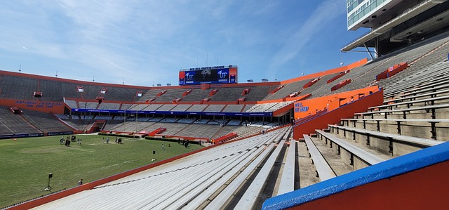 在这个复杂 在这个复杂