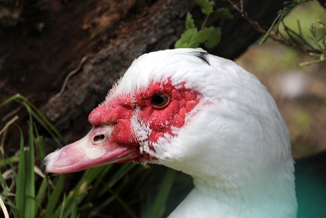 球迷回憶 球迷回憶