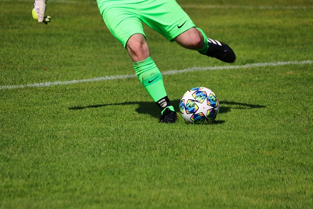 生涯寫下了 生涯寫下了