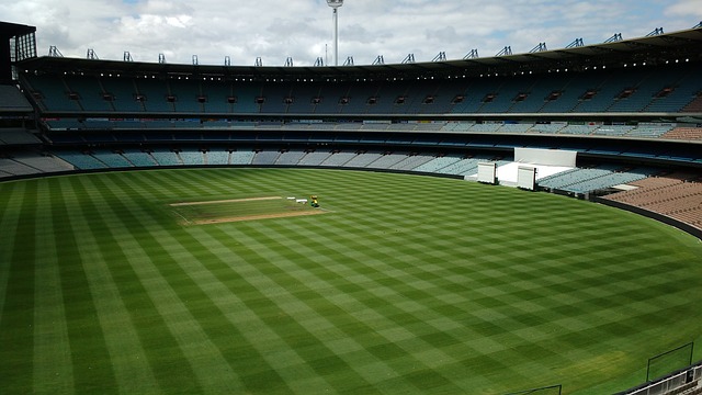 為球隊贏得 為球隊贏得