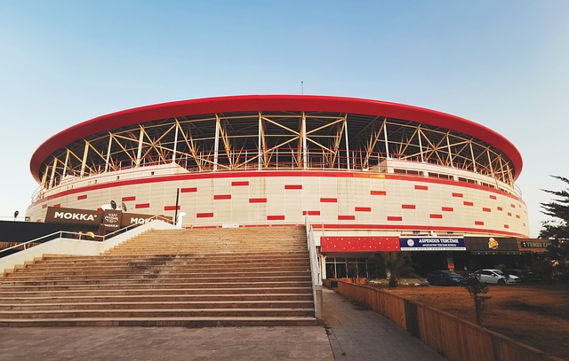 最终的结果 最终的结果